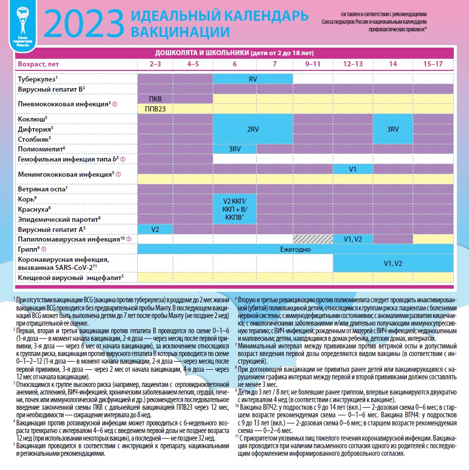 Календарь прививок на 2024 год вакцинация - ГП5