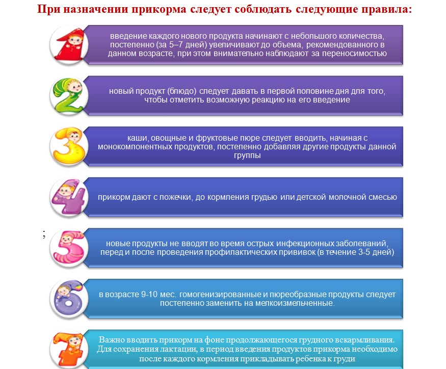 Питание младшего школьника: есть ли перед сном? | Проект Роспотребнадзора «Здоровое питание»