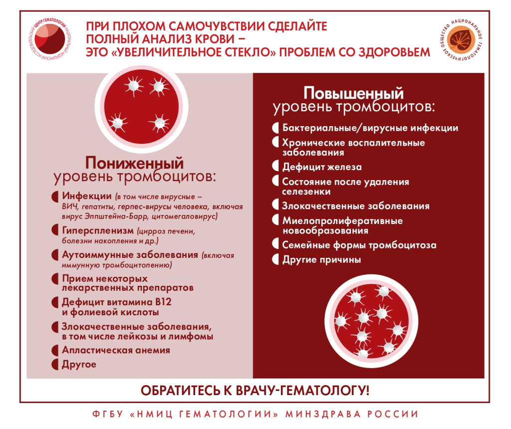 кровь 10.jpg